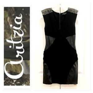 Aritzia Talula Bodycon Dress